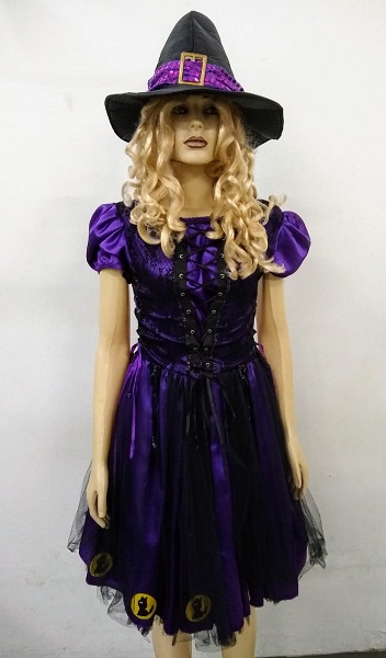 Bruxa roxa gato preto 